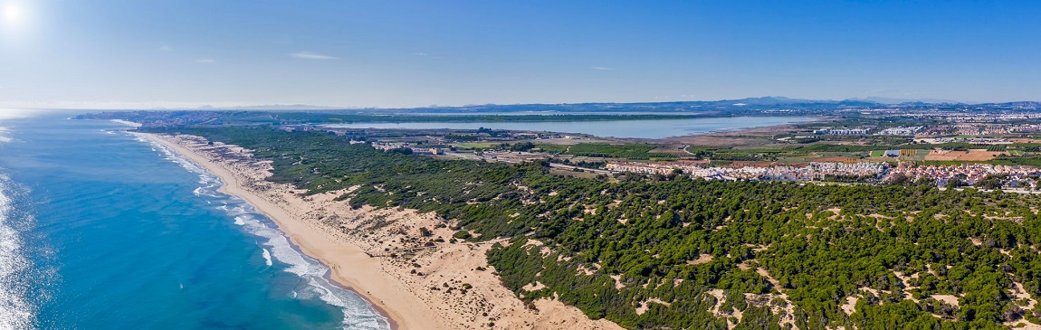 Playas de Guardamar del Segura